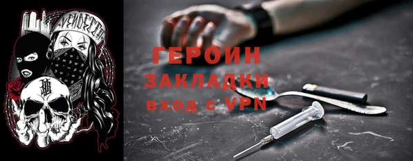 гидра Вяземский