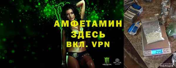 гидра Вяземский