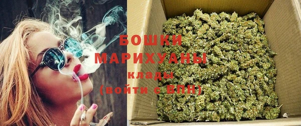 гидра Вяземский