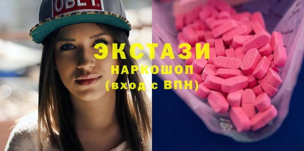 гидра Вяземский