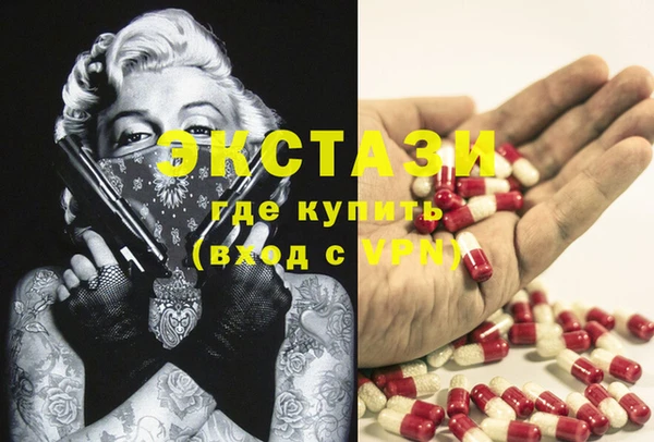 гидра Вяземский
