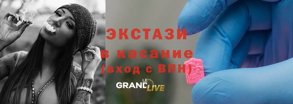 гидра Вяземский