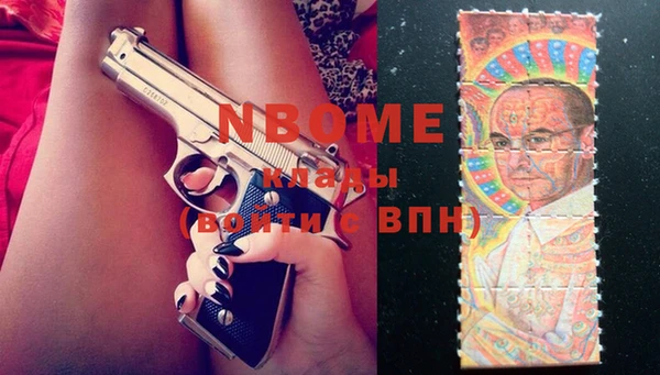 гидра Вяземский