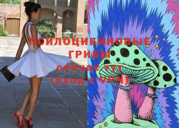 гидра Вяземский