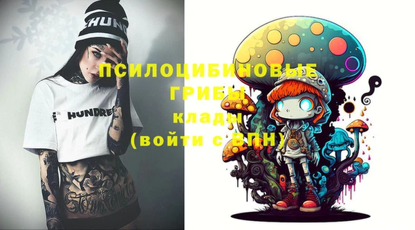 гидра Вяземский