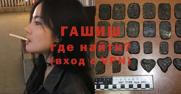 гидра Вяземский