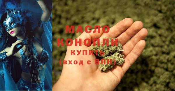 гидра Вяземский