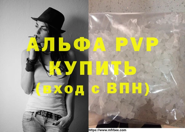 гидра Вяземский
