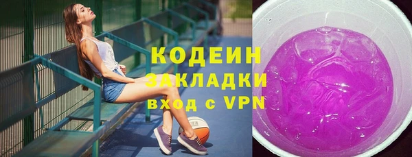 гидра Вяземский
