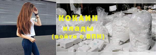 гидра Вяземский