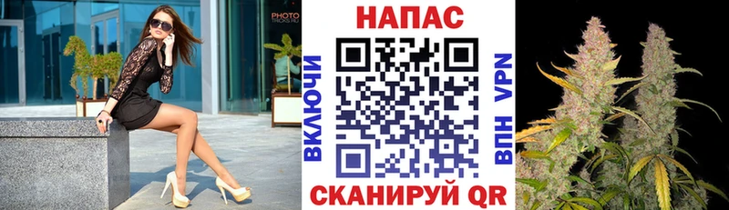 Купить закладки  Ардатов  МАРИХУАНА Ganja 